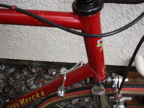Merckx head tube.JPG