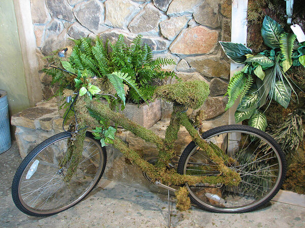 Mossy bike.jpg