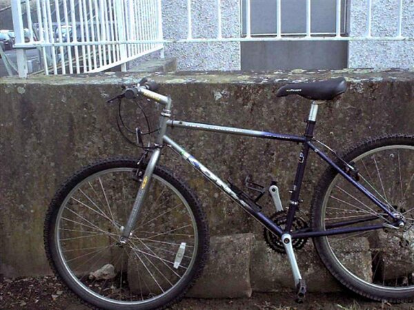 bike (Medium) (2).jpg