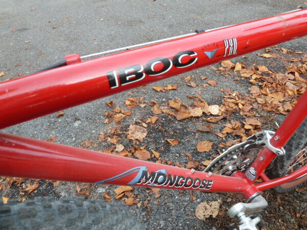 Mongoose Iboc Pro 009.JPG