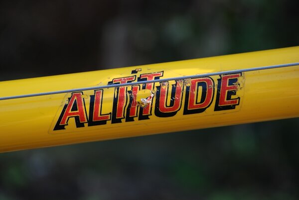 Altitude `93 Team signature.jpg