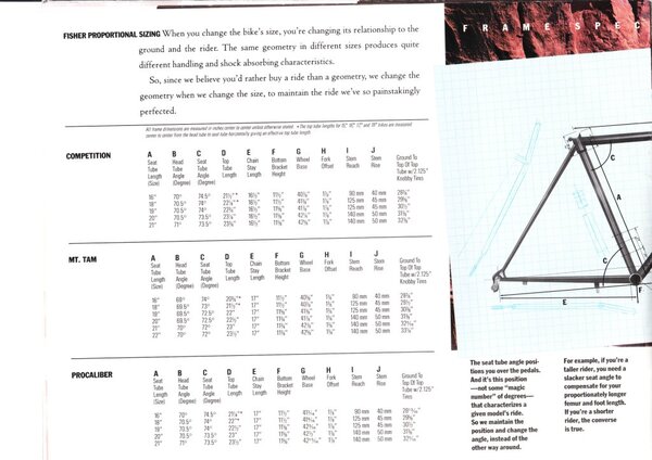 Fisher 1998 catalogue_0014.jpg