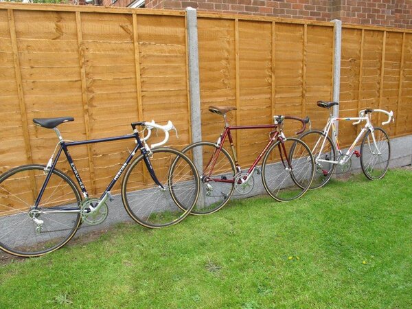 3 Bikes 1.jpg