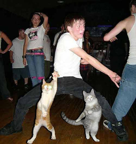 dance%20cats.jpg