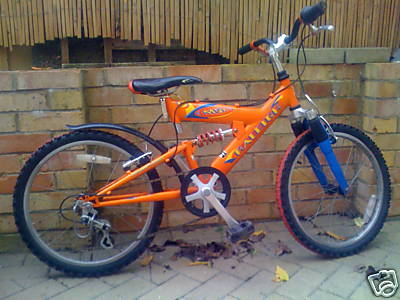 raleigh bike.jpg