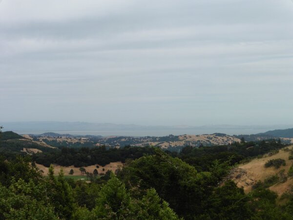 View of the Bay from 1100'.jpg