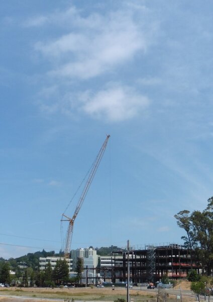 Big crane.jpg