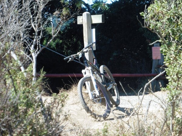 Bike Stand.jpg