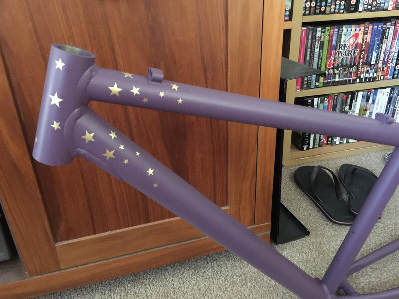 My Bikes - 20210706 Merlin Malt purple build (10).jpg