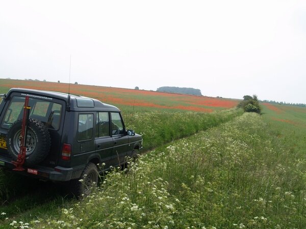 Poppies Gloucestershire.jpg