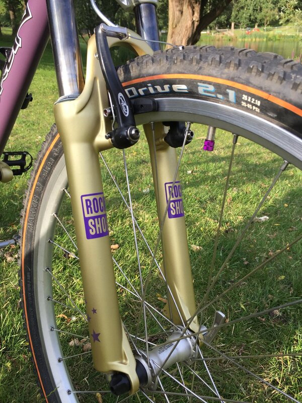 My Bikes - 20210722 Merlin Malt purple (10).JPG