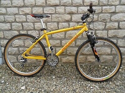 Raleigh-Special-Products-Pro-Line-M-Trax-150-Retro-Mountain.jpg