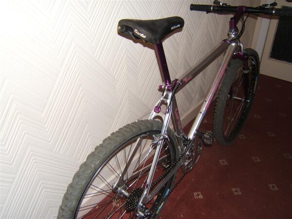 My bikes 014 (Large).jpg