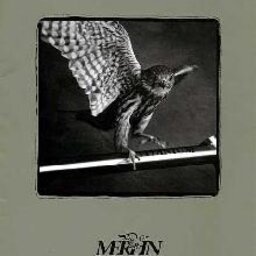 1991 Merlin Catalogue