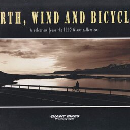 1995 Giant Bikes