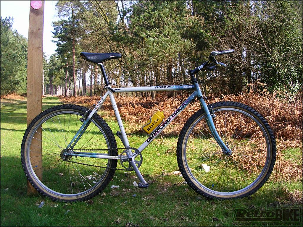 1990 diamondback ascent
