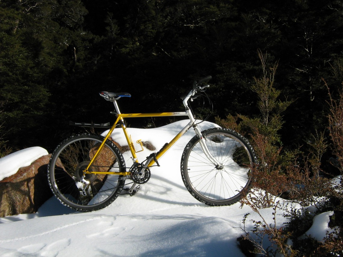 hardtail near the top