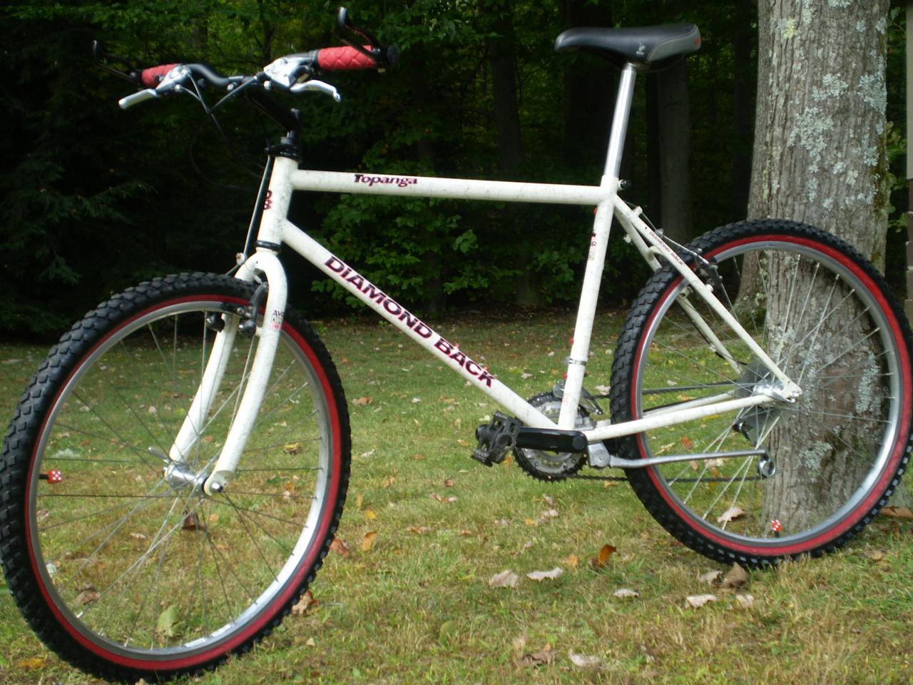 024 1992 Diamondback Topanga Retrobike