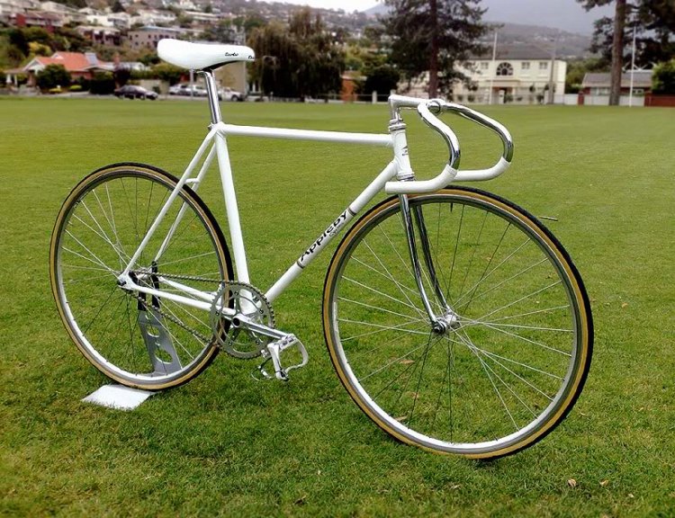 B.o.T.M. April 2010 3rd Shogun's Appelby Track bike