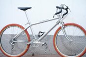 Bushpig's 1981/2 Cunningham Indian