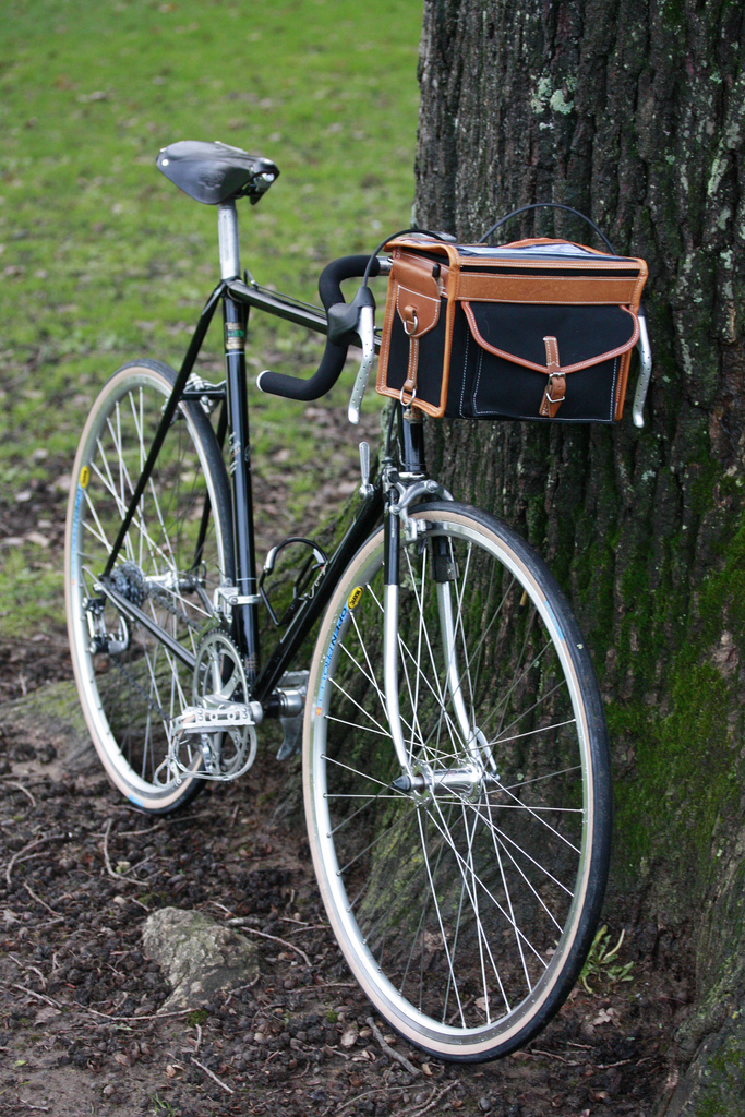 Wilfred's Raleigh Competition