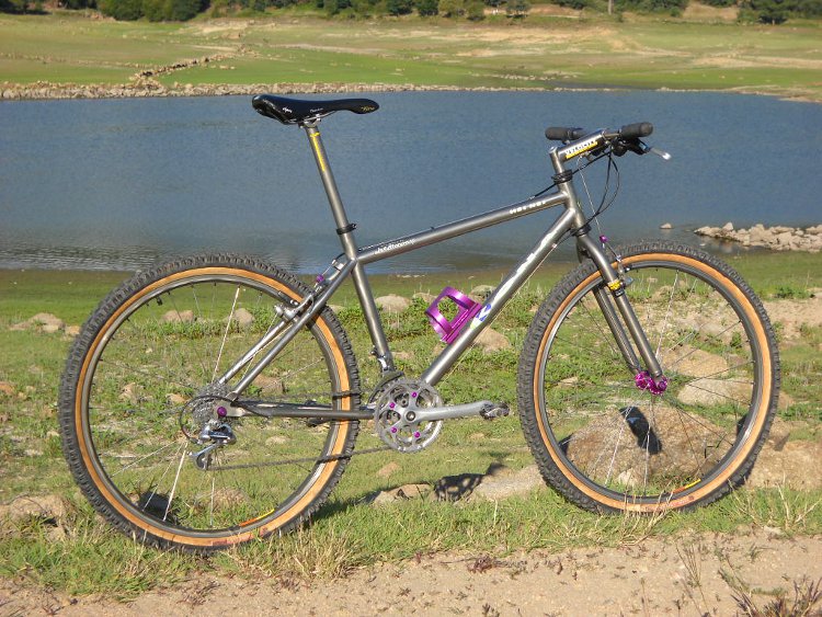 wtb_rider's Brodie Catalyst