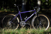 wtb_rider's Brodie Catalyst