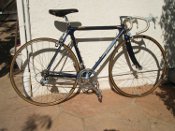 Bushpig's Team Z Calfee Lemond