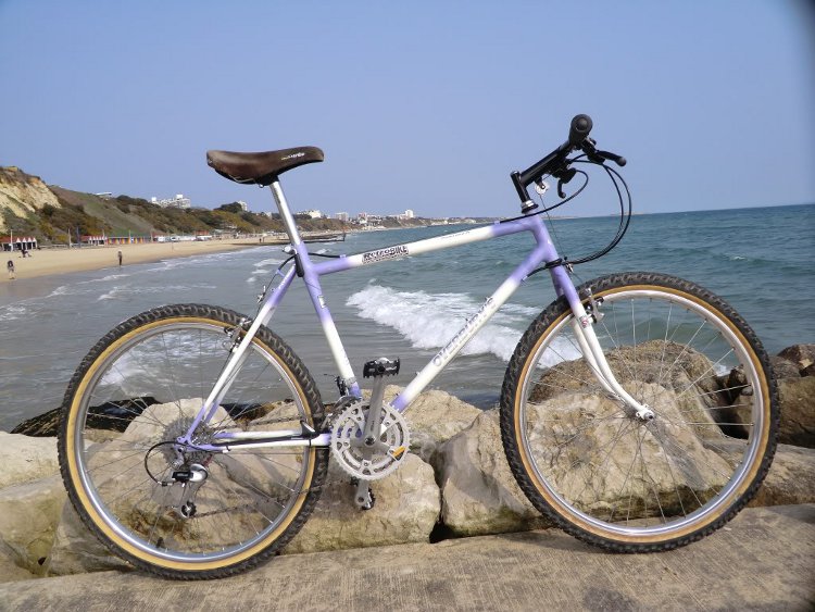 makster's 1990 Overbury's Pioneer