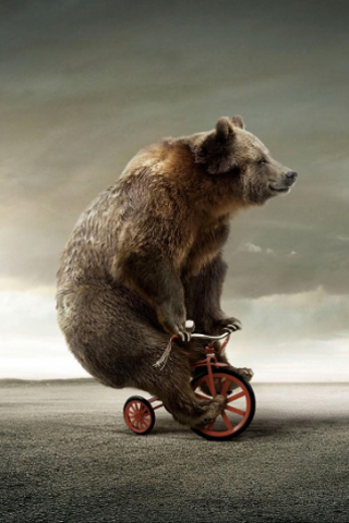 bear-on-a-bike.jpg