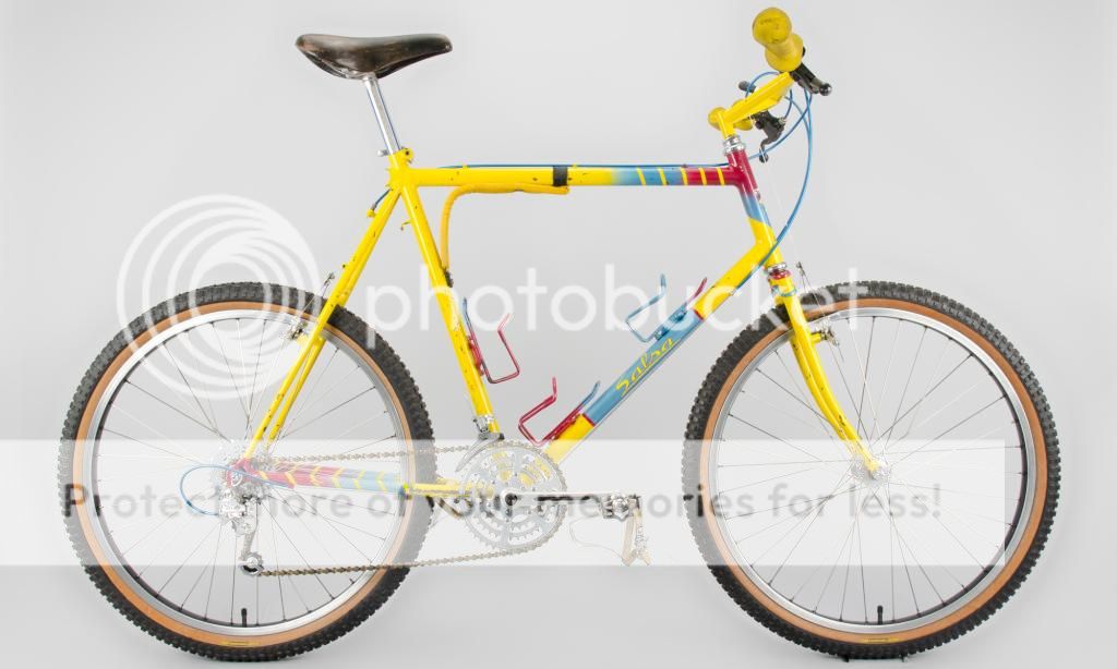 1982%20Salsa%20Scoboni%205%20-48.jpg