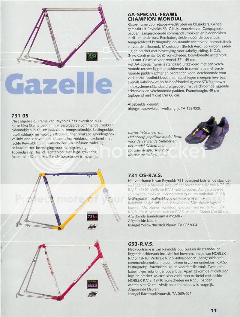 Gazelle2C.jpg