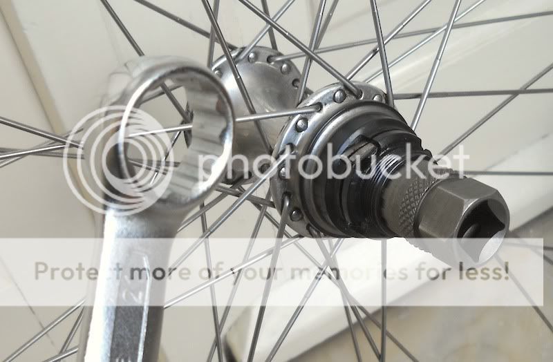 Backwheel05.jpg