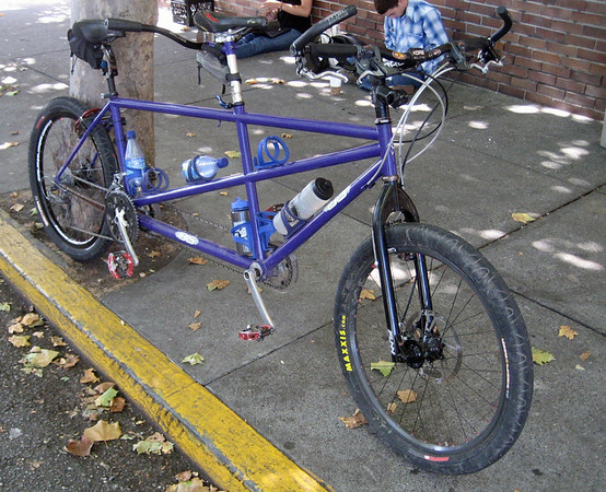 Purple%20tandem%20022-M.jpg