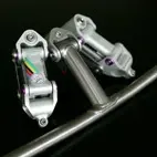 stems.webp