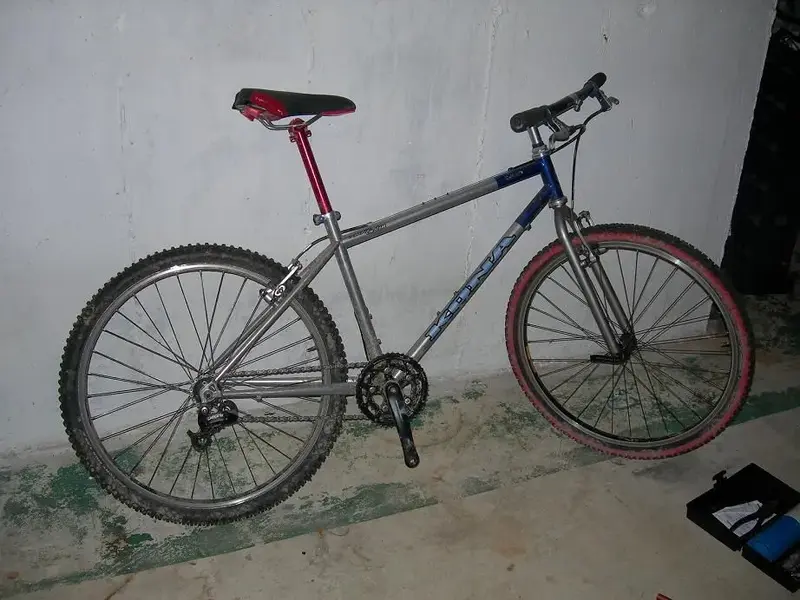 DSCN0523.webp