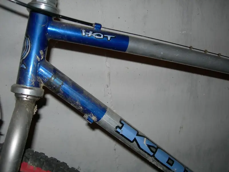 DSCN0525.webp