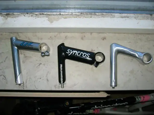 race stems.webp