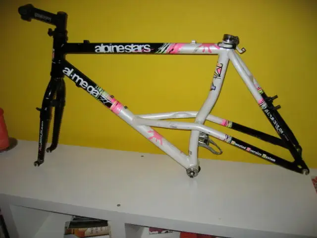 alpine stars.webp