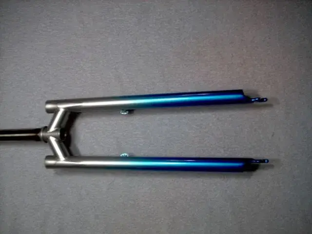 Alan's fork back1.webp