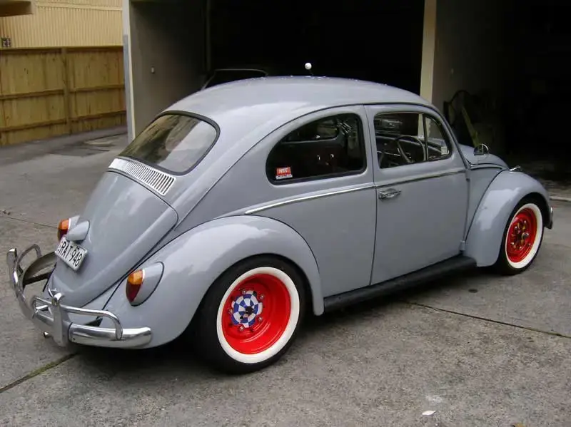 rat-013.webp