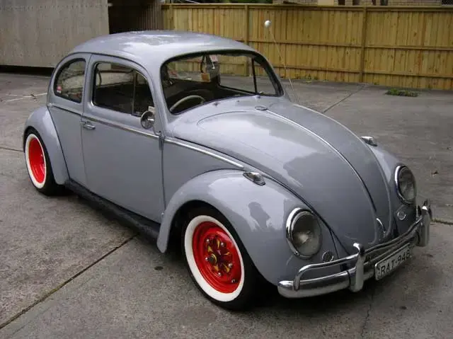 rat-012.webp