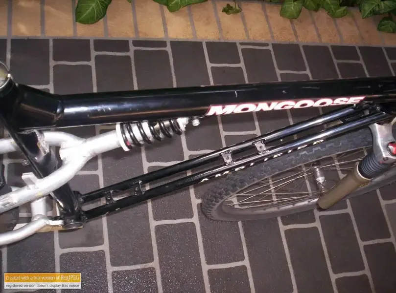 Mongoose 5.webp