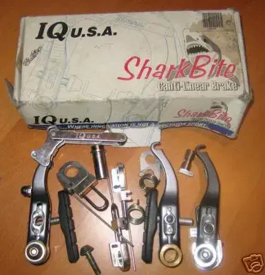 Shark Bite.webp