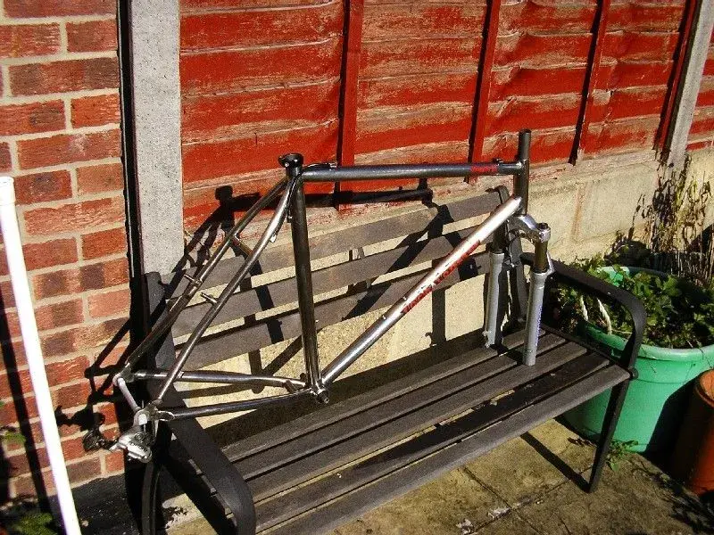 IMGP1536.webp