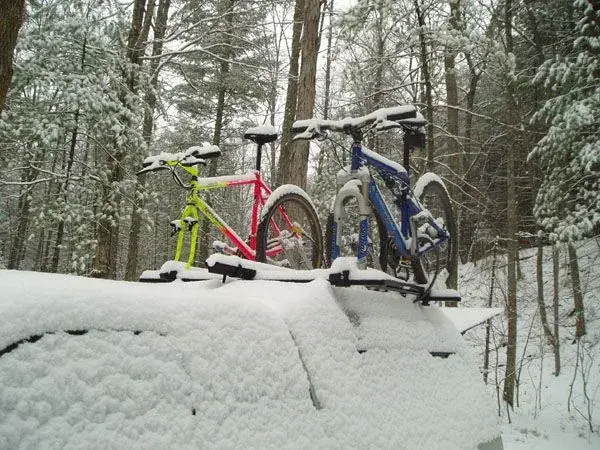 snow.webp