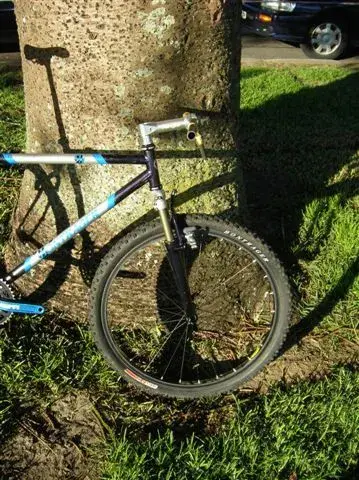 Bont 010.webp