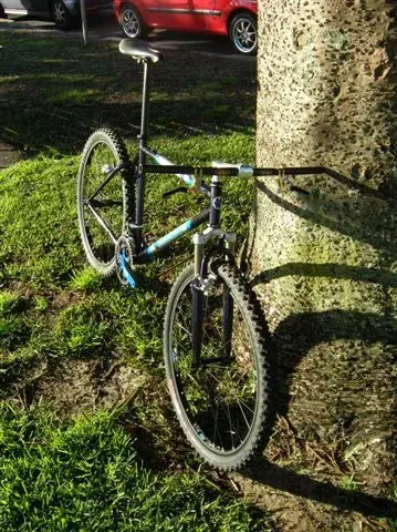 Bont 006.webp