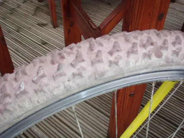Ritchey2.webp