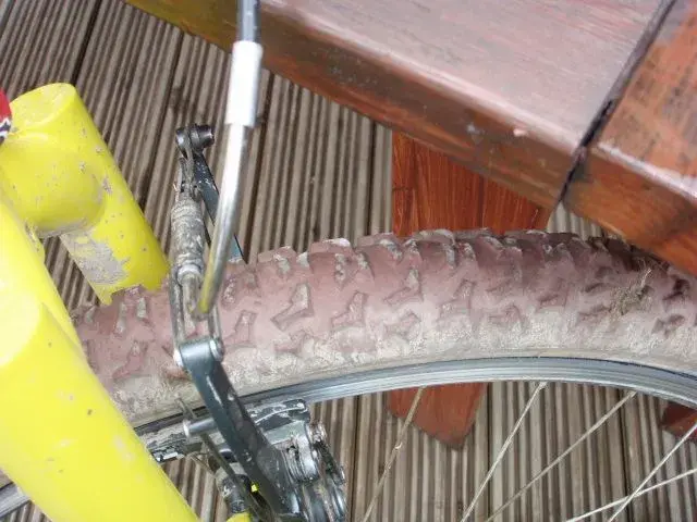 Ritchey1.webp